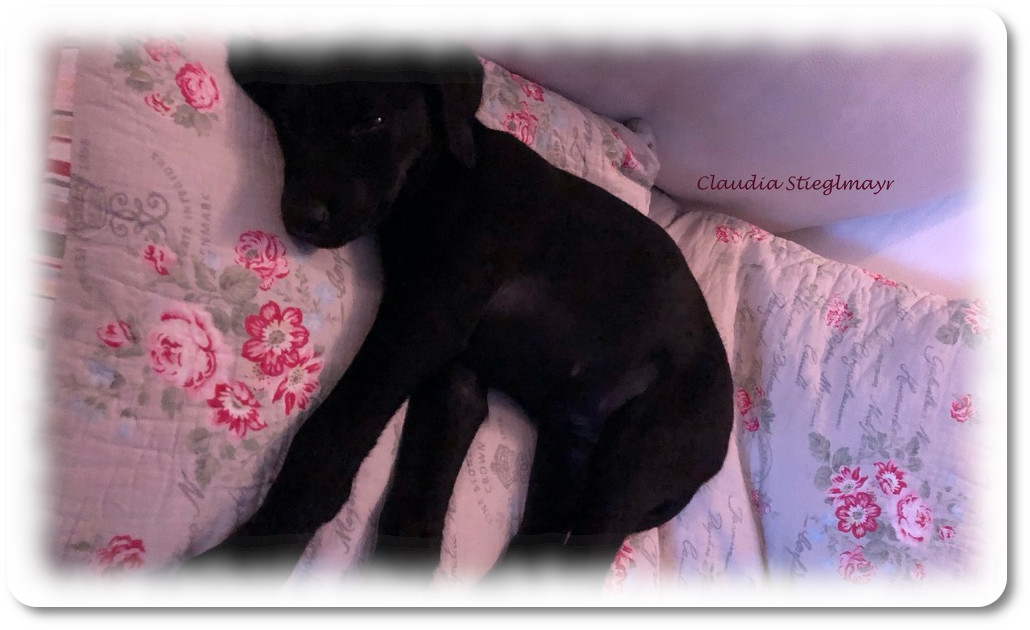 Eine aufregende Woche geht zu Ende