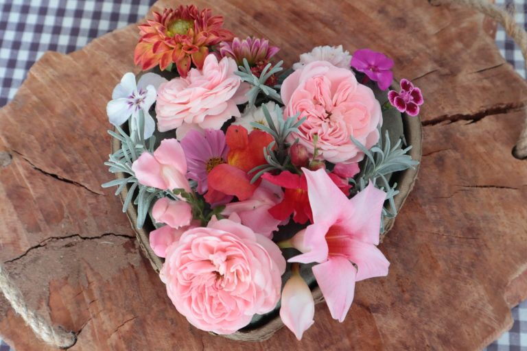 Ganz schön bunt – gedeckter Tisch in meinem Garten für Biene, Hummel und Co.