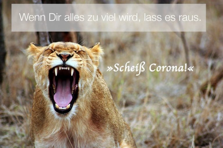 Wie kann man Wutanfälle vermeiden? Die sechs besten Tipps zur Selbstbeherrschung