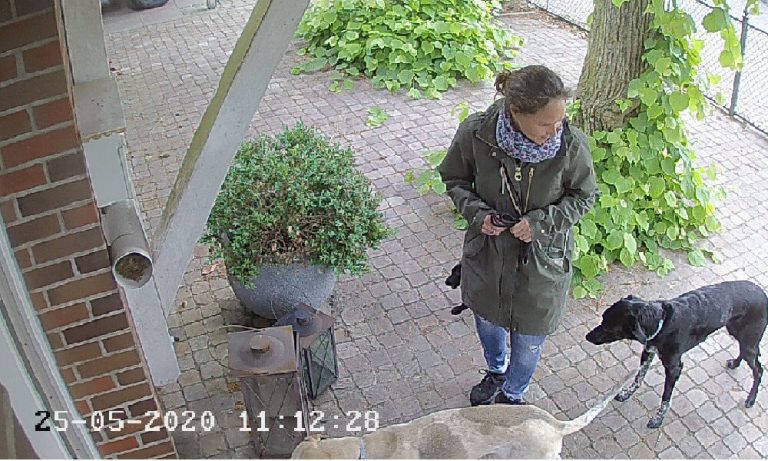 Das Leben ist keine »Roman-Stunde«, sondern »Meine Wahrheit«!